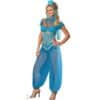 Adult Genie Costume