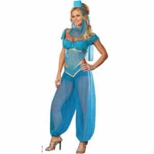 Adult Genie Costume