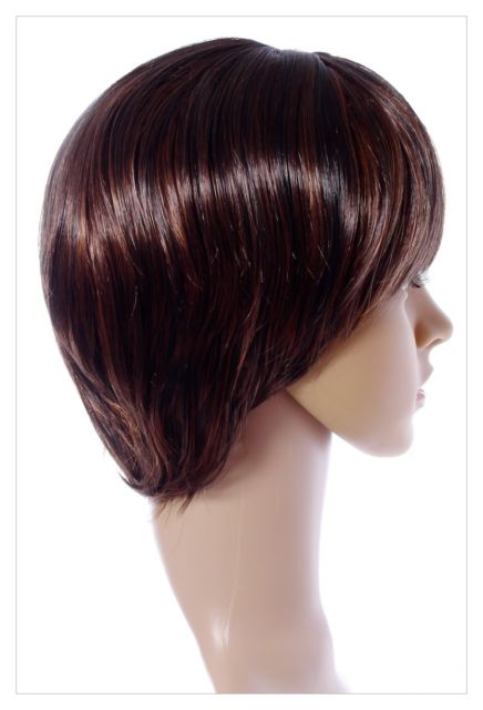 Amazing Long Choc Brown Honey Blonde Lady Wig